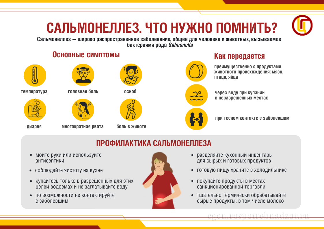 Сальмонеллез. Что нужно помнить?