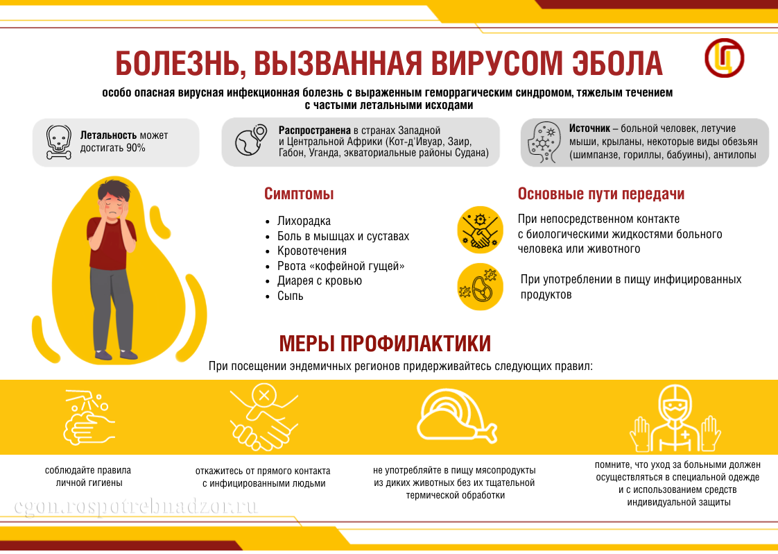 Болезнь, вызванная вирусом Эбола
