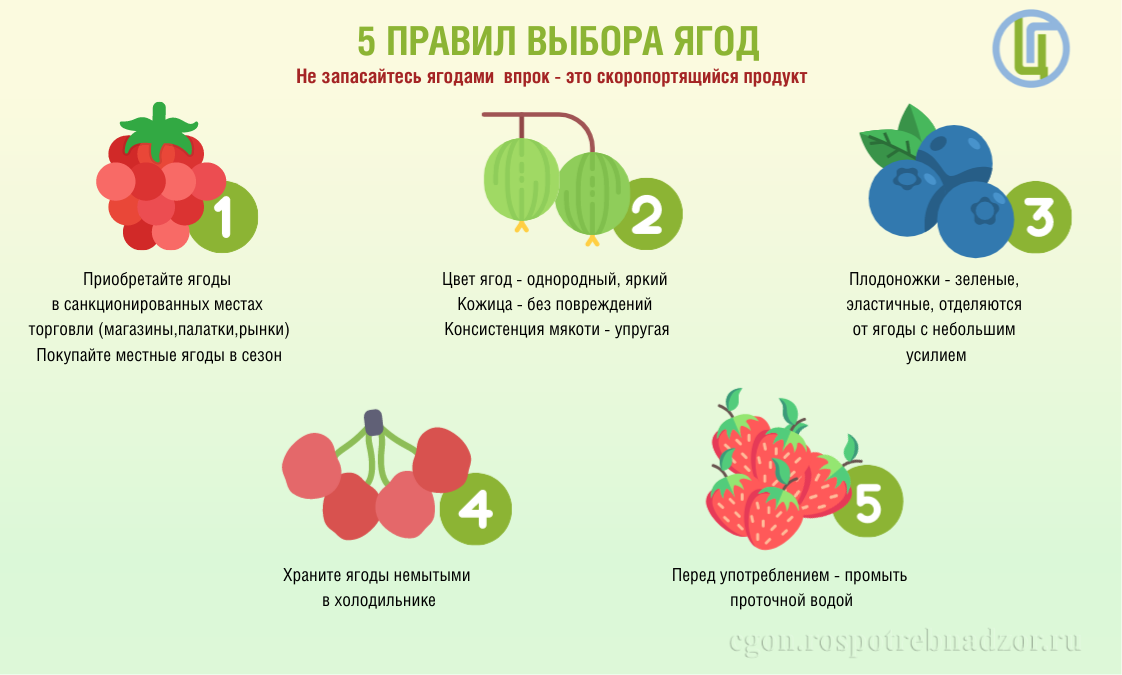 5 правил выбора ягод