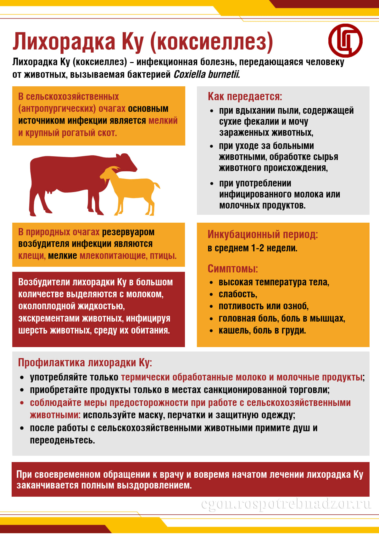 Лихорадка Ку