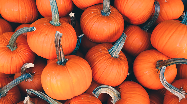 Полезные свойства тыквы