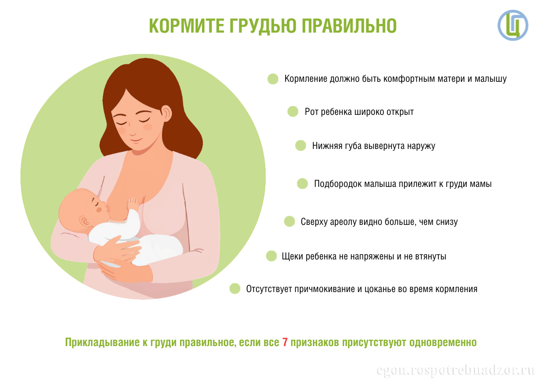 Кормите грудью правильно