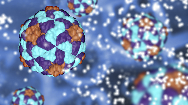 Профилактика инфекции, вызванной вирусами Коксаки
