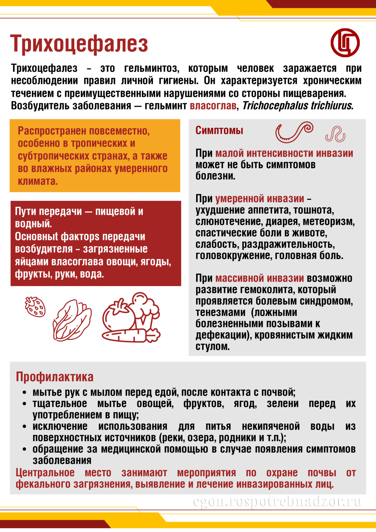 Трихоцефалез