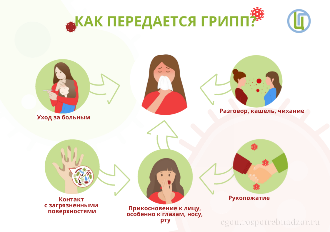 Как передается грипп?