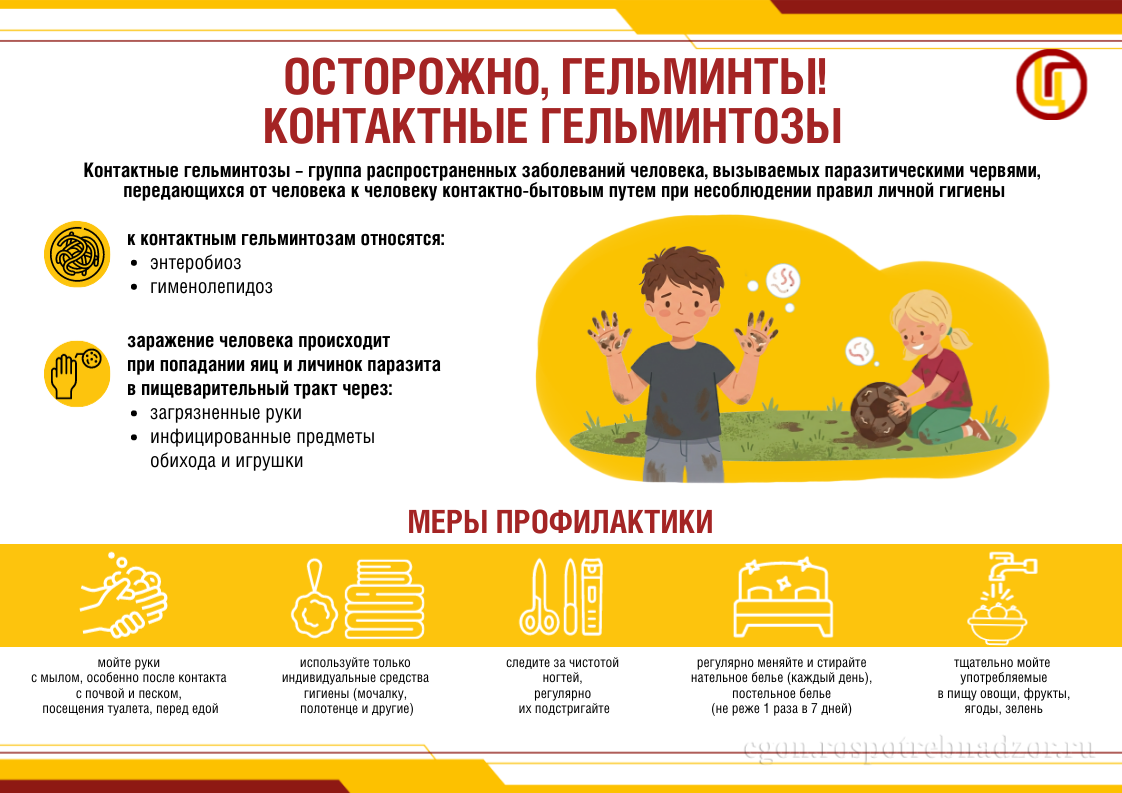 Осторожно, гельминты! Контактные гельминтозы