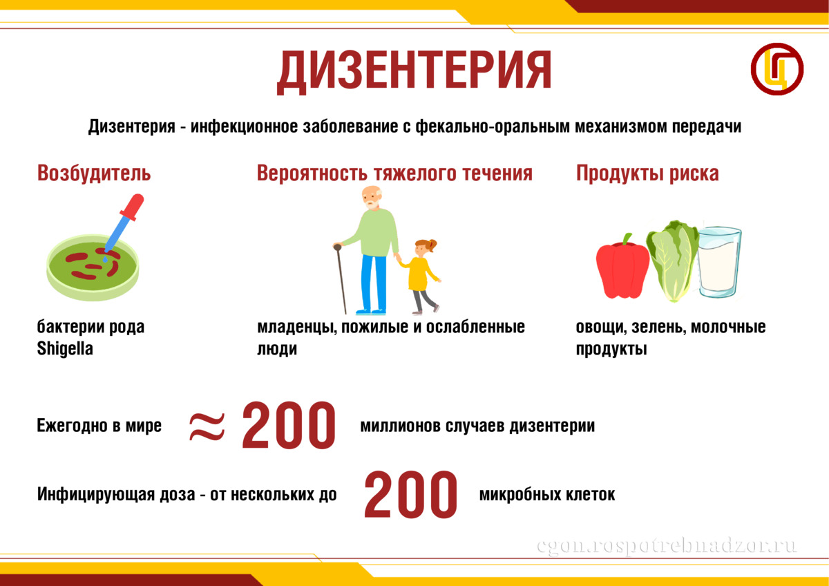 Дизентерия