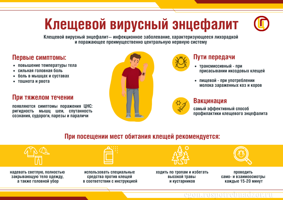 Клещевой вирусный энцефалит