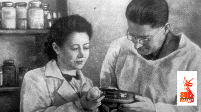 История советского пенициллина