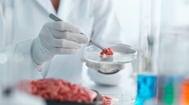 Трихинеллез. Вопросы и ответы