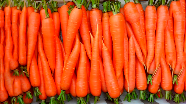 Полезные свойства моркови