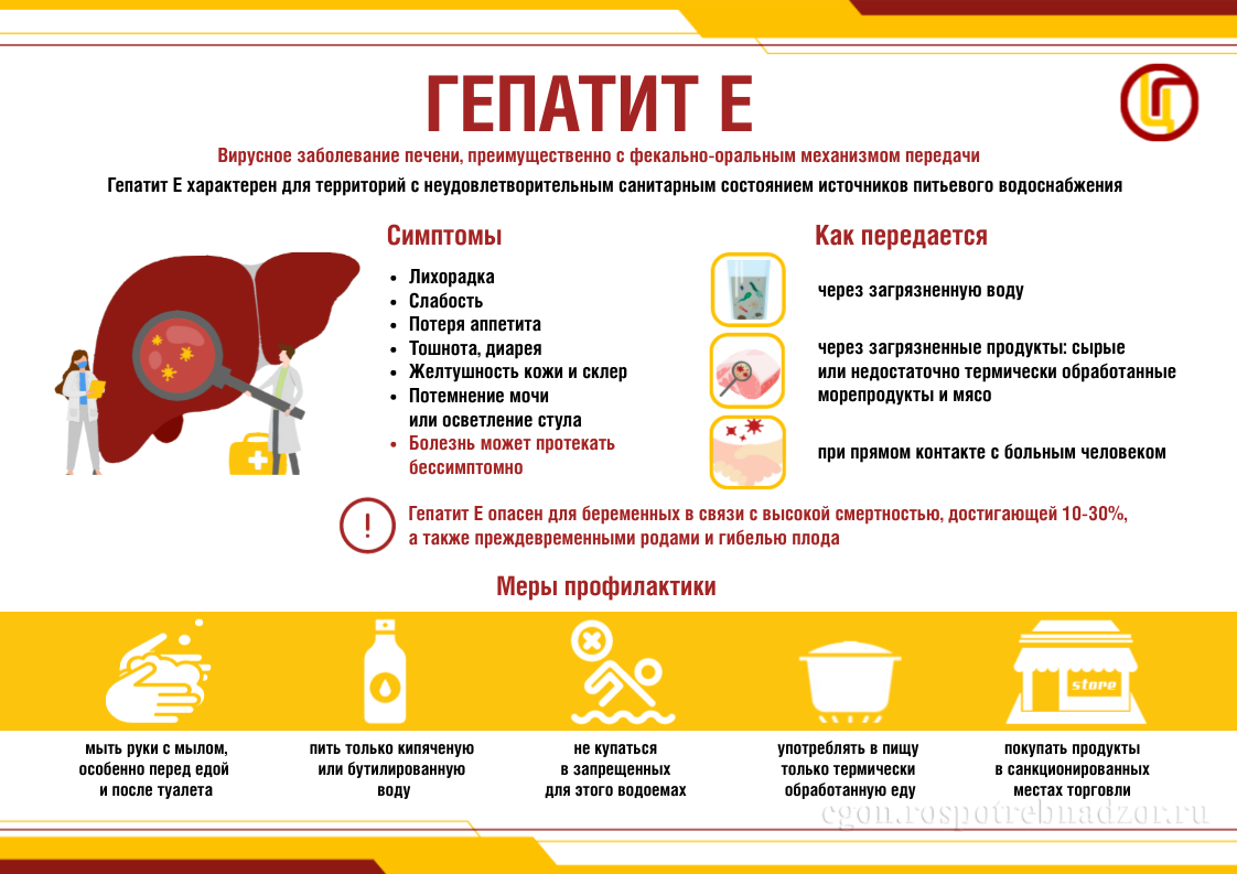 Гепатит Е