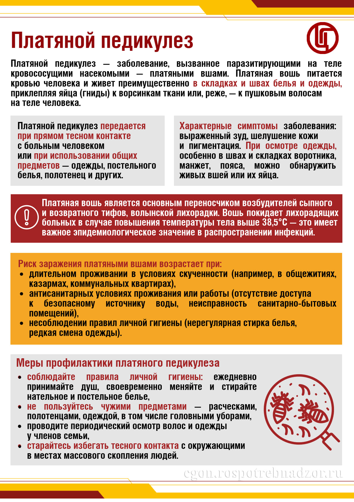 Платяной педикулез