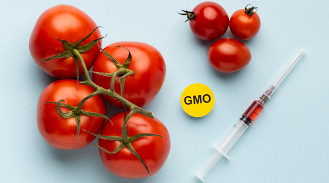 Это всё о ГМО?