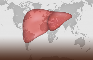 Всемирный день борьбы с гепатитом