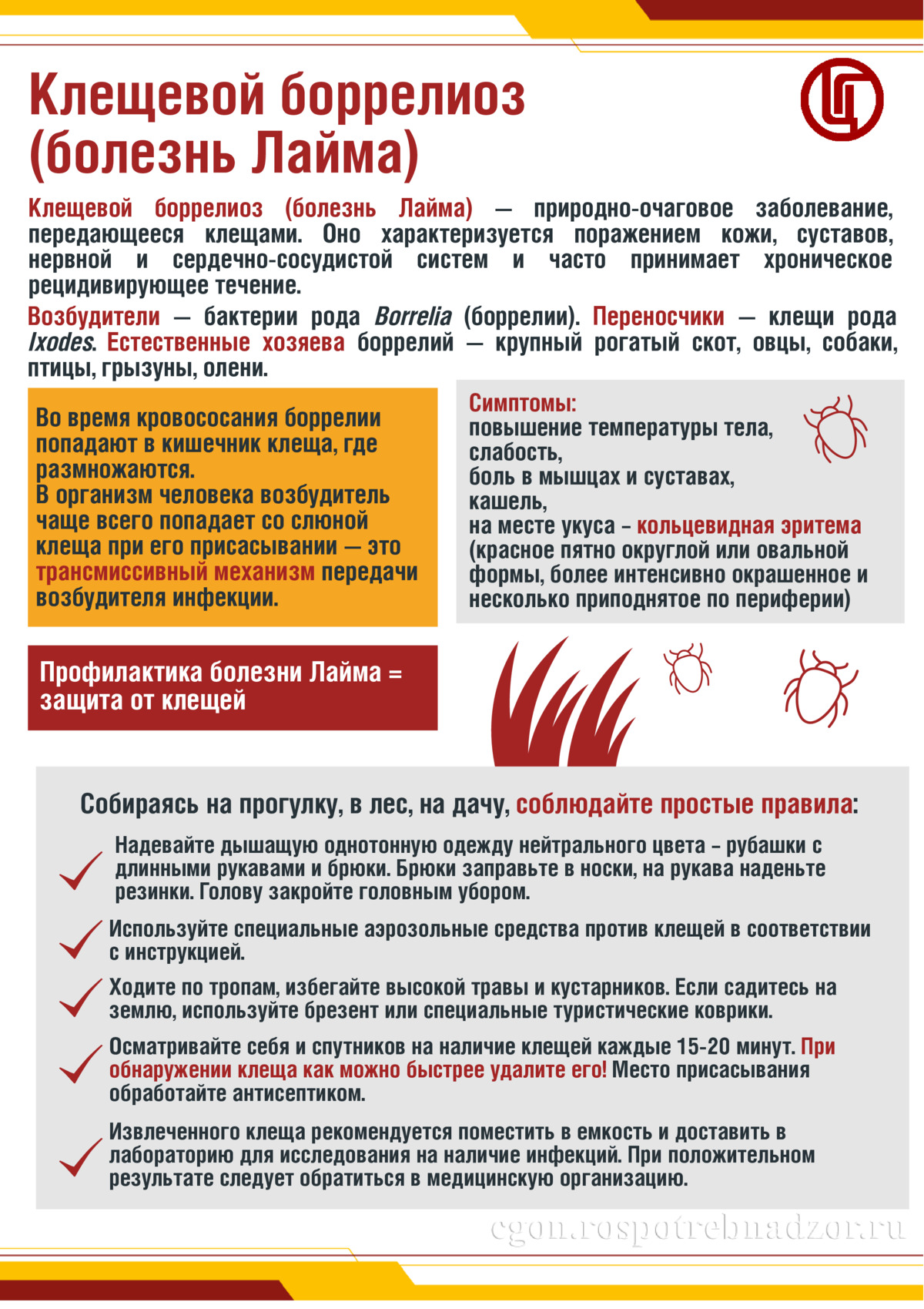 Клещевой боррелиоз (Болезнь Лайма)