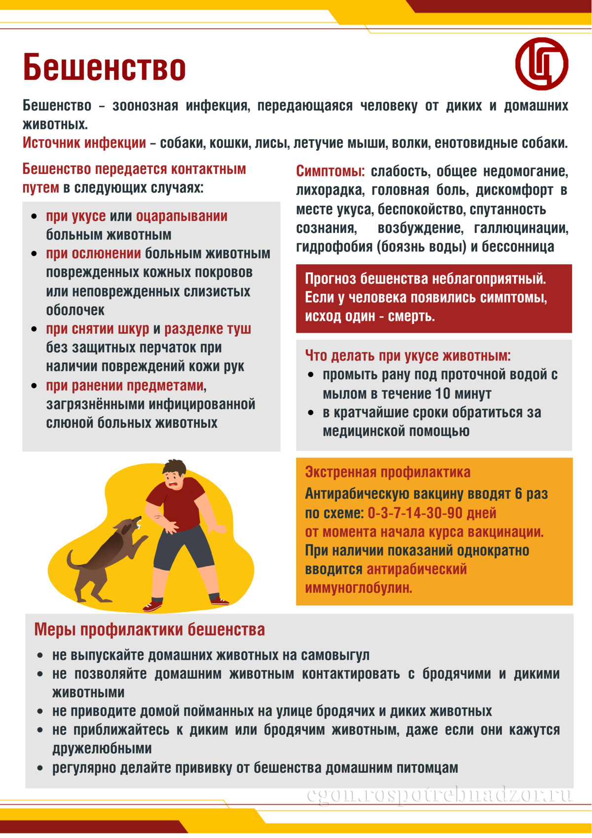 Бешенство