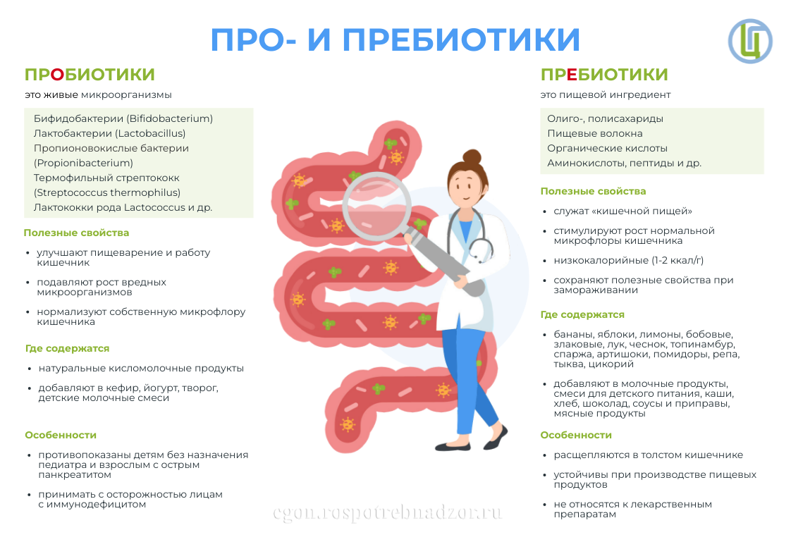Пробиотики и пребиотики