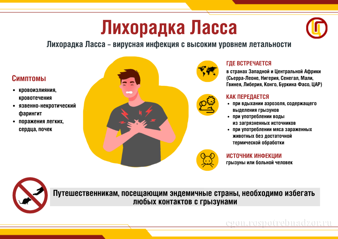 Лихорадка Ласса