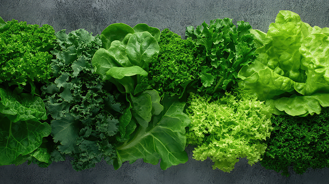 Потенциальная опасность употребления листовых овощей и зелени