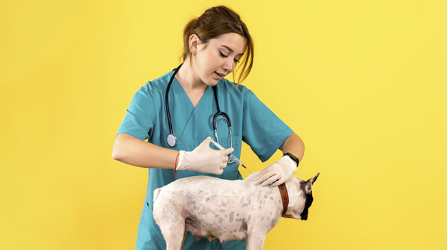 28 сентября - Всемирный день борьбы с бешенством