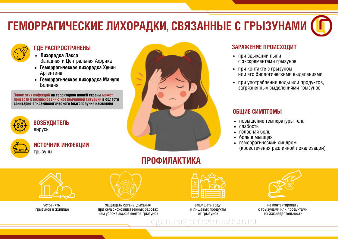 Геморрагические лихорадки, связанные с грызунами