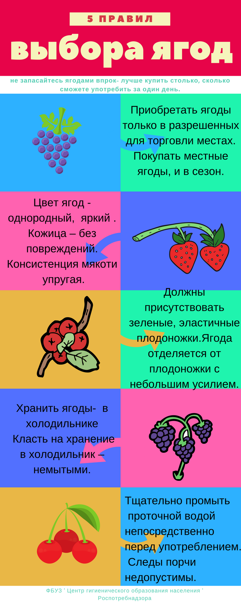 5 правил выбора ягод