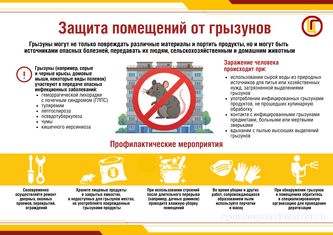 Защита помещений от грызунов