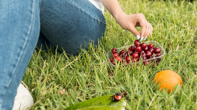 Вебинар 03.07.2025 «Здоровое лето»
