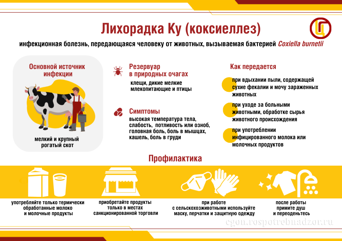 Лихорадка Ку
