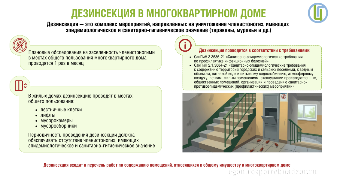 Дезинсекция в многоквартирном доме