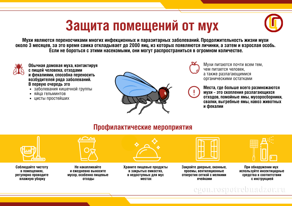 Защита помещений от мух