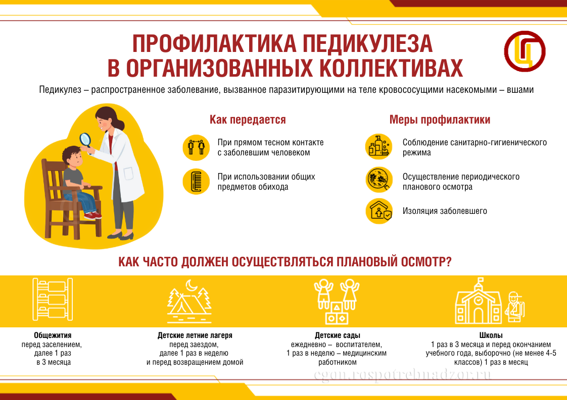 Профилактика педикулеза в организованных коллективах