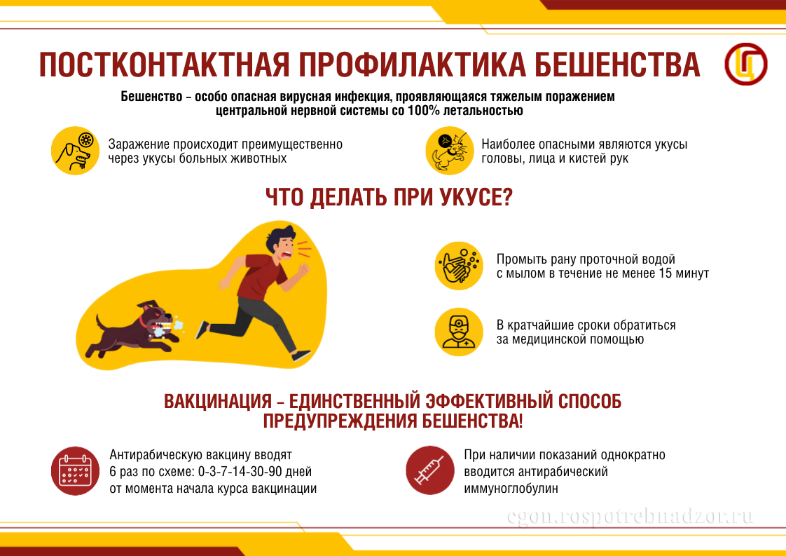 Постконтактная профилактика бешенства
