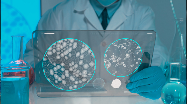 Церкариоз, шистосомный дерматит или «зуд купальщиков»