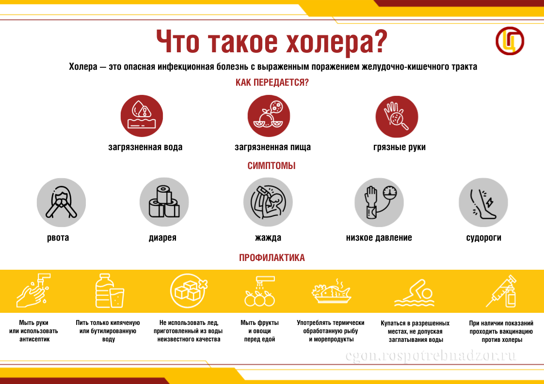 Что такое холера?