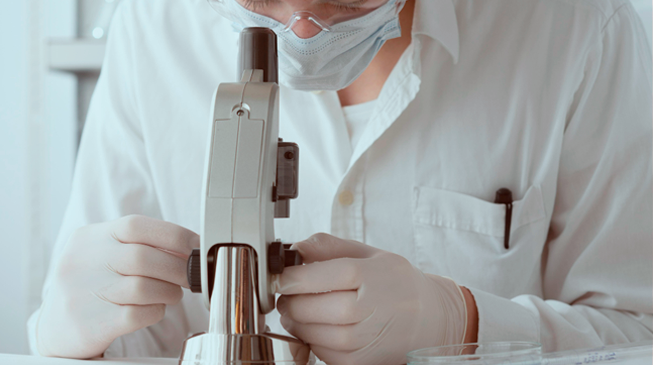 Трихинелле́з