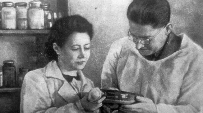 История советского пенициллина