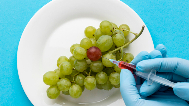 ГМО в питании