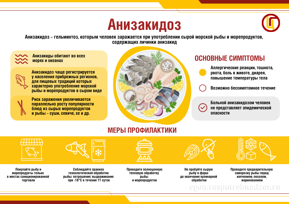 Анизакидоз