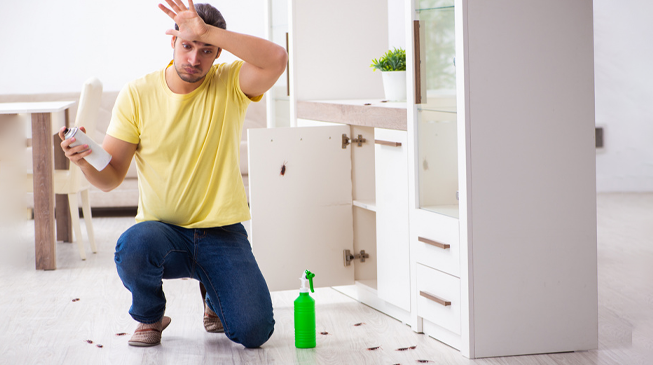 Дома тараканы?