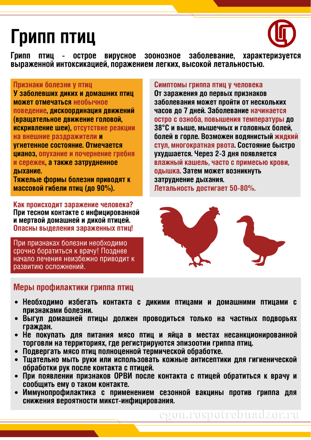 Грипп птиц