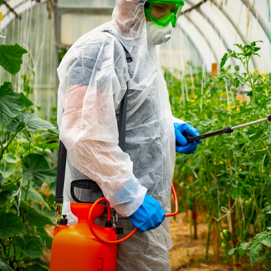 Гигиенические требования к работе с пестицидами