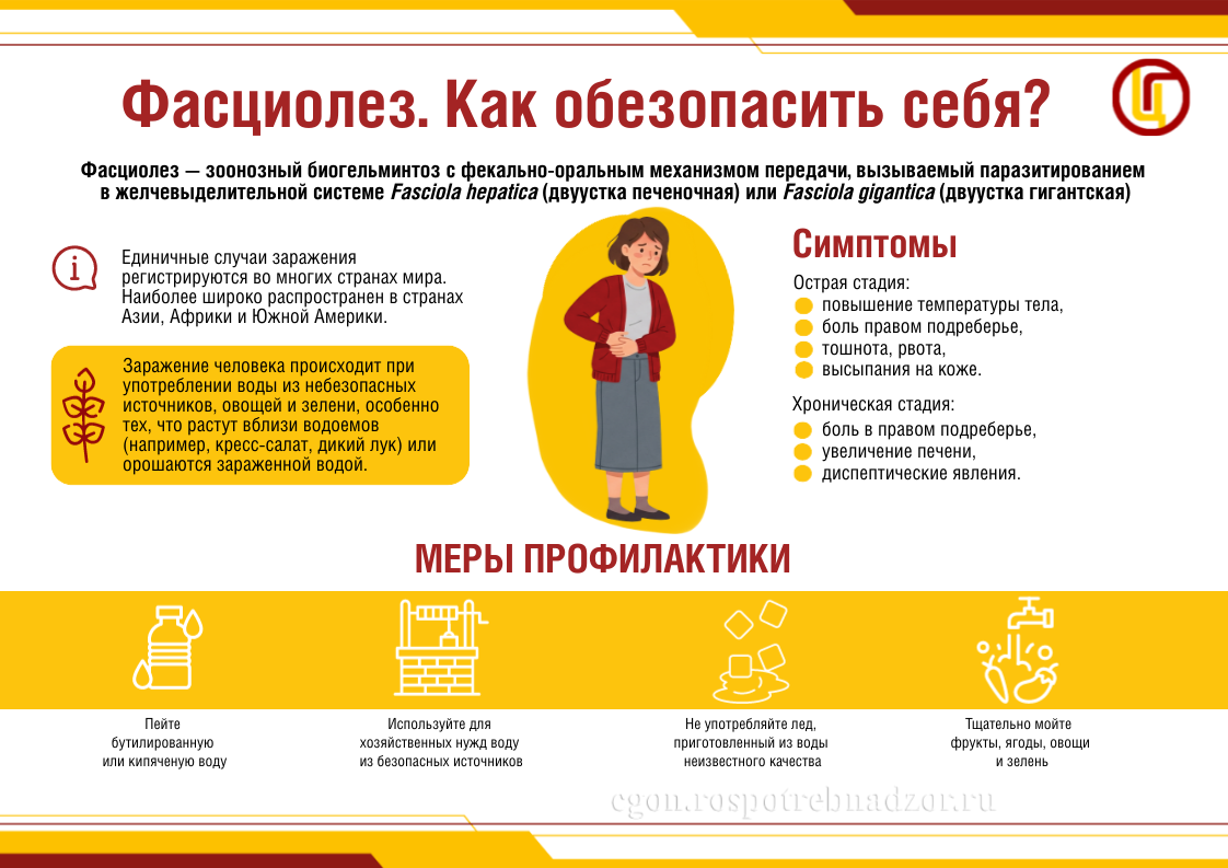 Фасциолез. Как обезопасить себя?