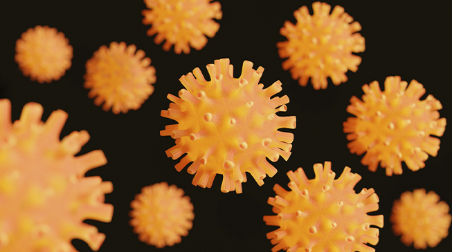 Герпесвирусы