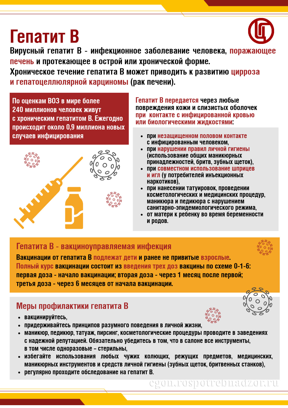 Гепатит B