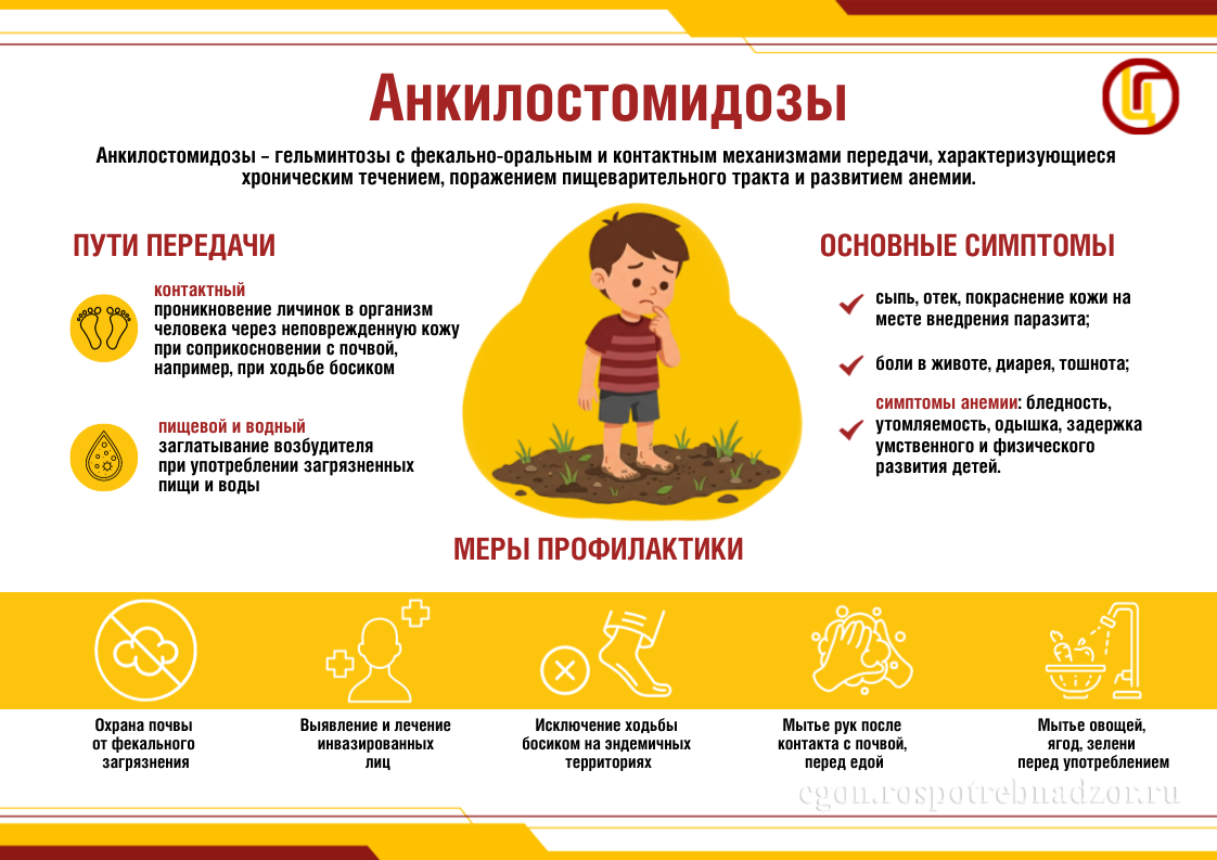 Анкилостомидозы