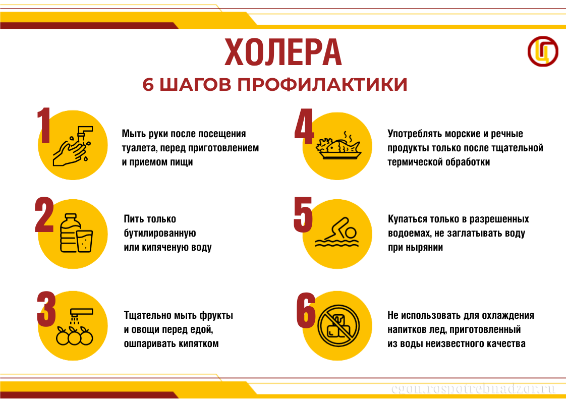 6 шагов профилактики холеры