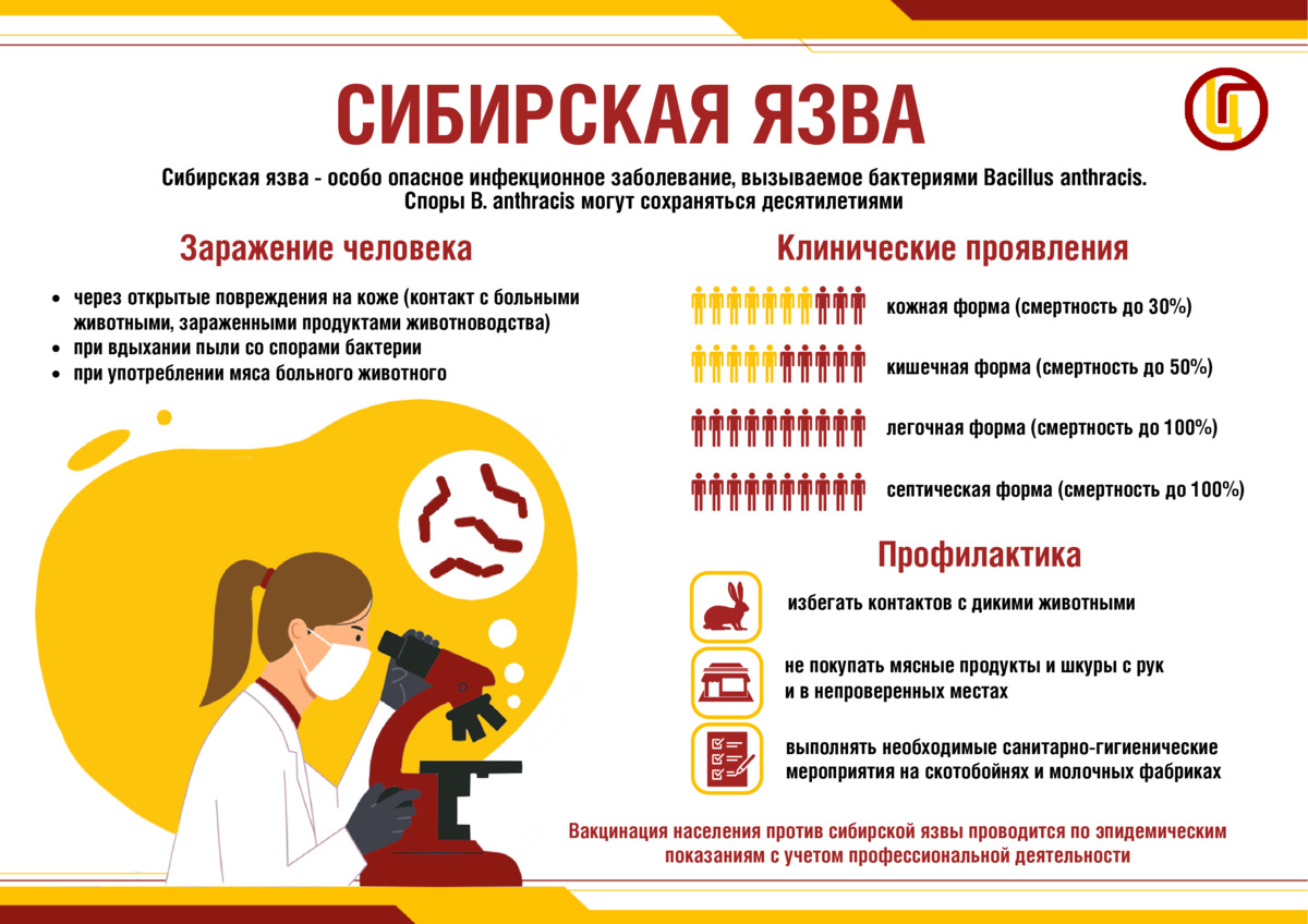 Сибирская язва