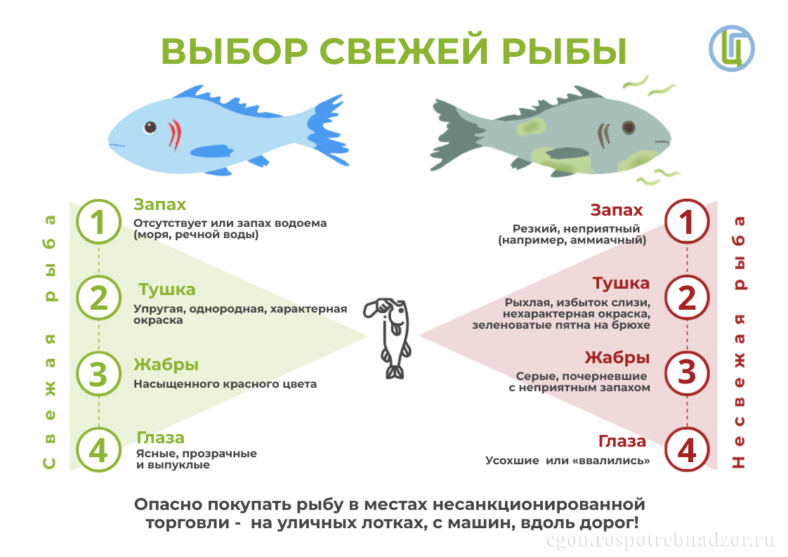 Какую свежую рыбу можно. Какую свежую рыбу можно